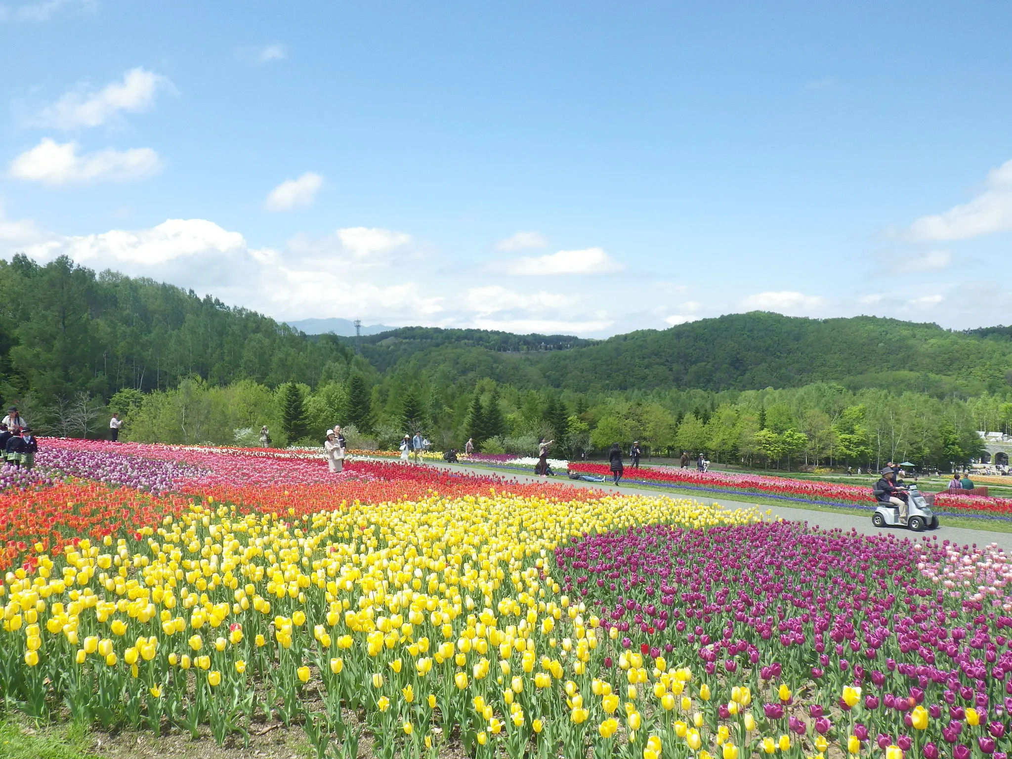 国営滝野すずらん丘陵公園　グリーンシーズン開園！（札幌市）| Domingo -ドミンゴ-