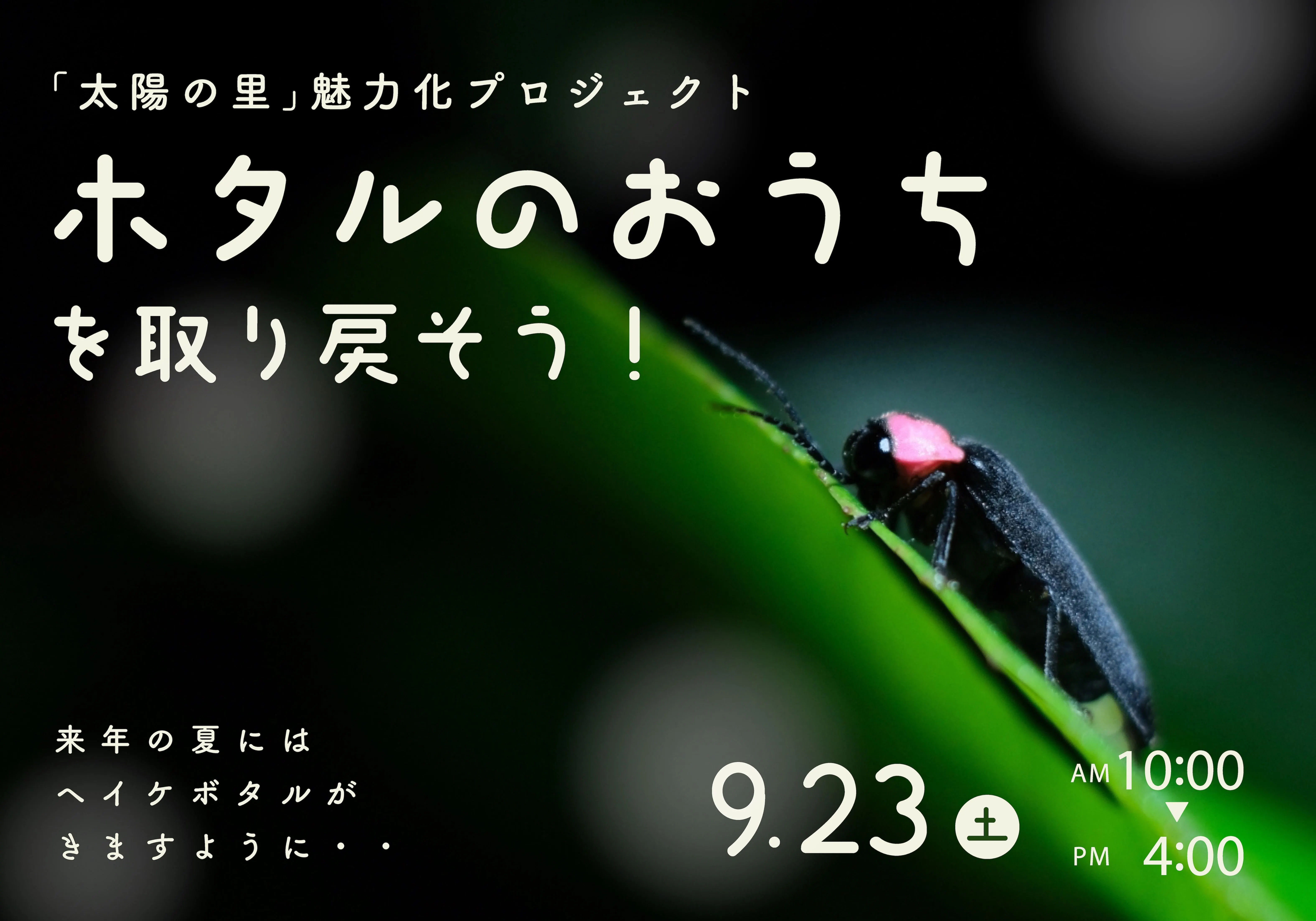 親子向けイベント「ホタルのおうちを取り戻そう！」（富良野市）| Domingo -ドミンゴ-