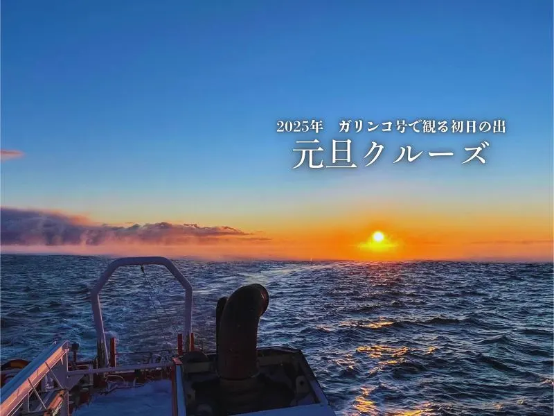ガリンコ号Ⅲ 元旦クルーズ(紋別市)| Domingo -ドミンゴ-