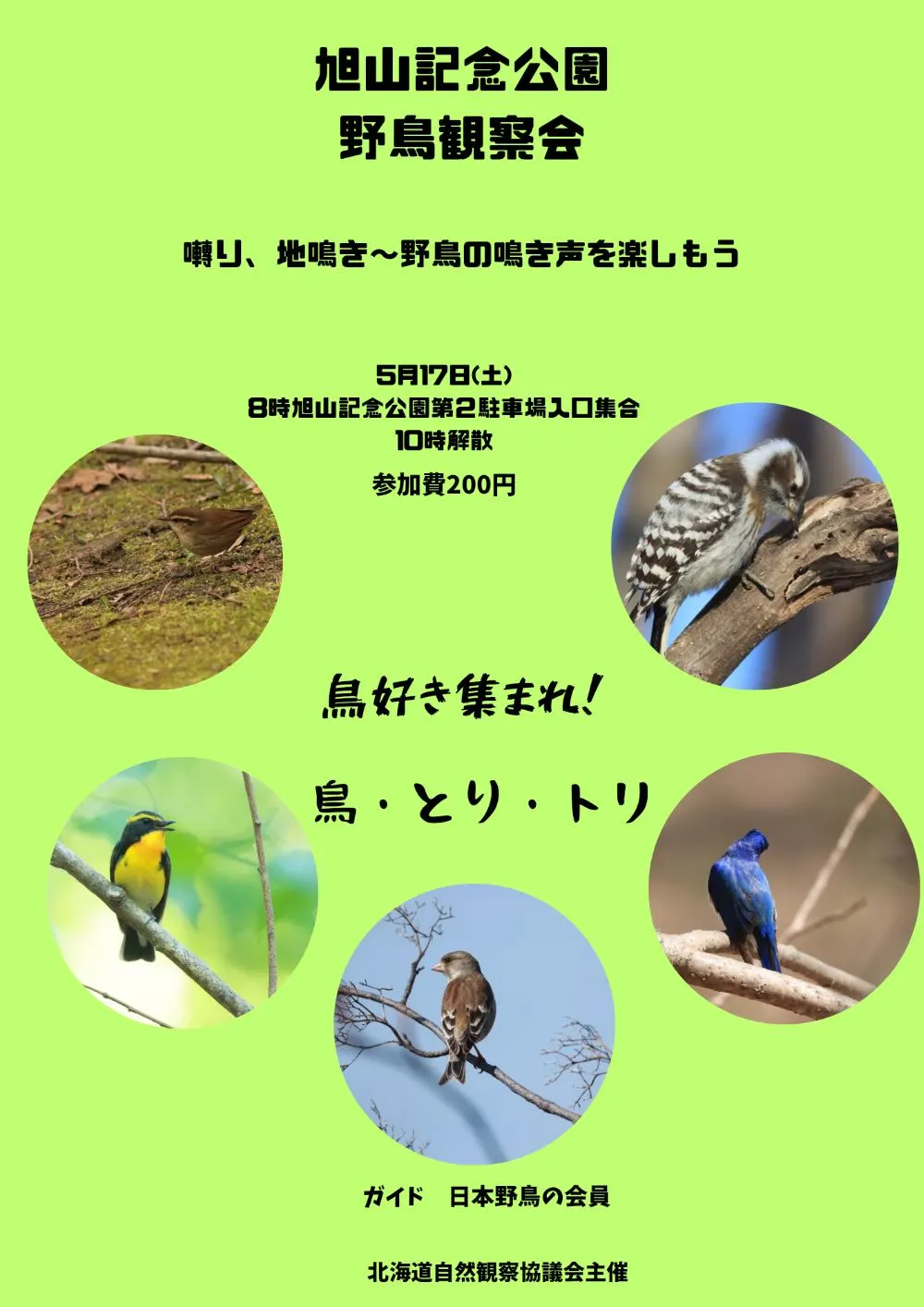 「旭山記念公園」野鳥観察会(札幌市)| Domingo -ドミンゴ-