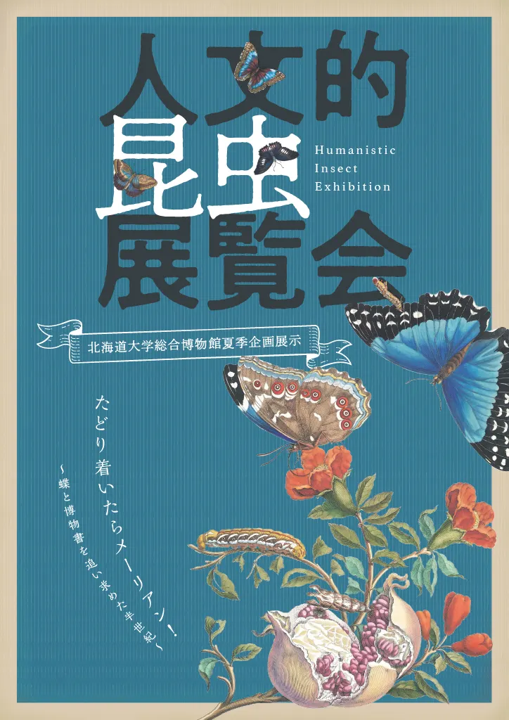 夏季企画展「人文的昆虫展覧会 – たどり着いたらメーリアン」(札幌市)| Domingo -ドミンゴ-