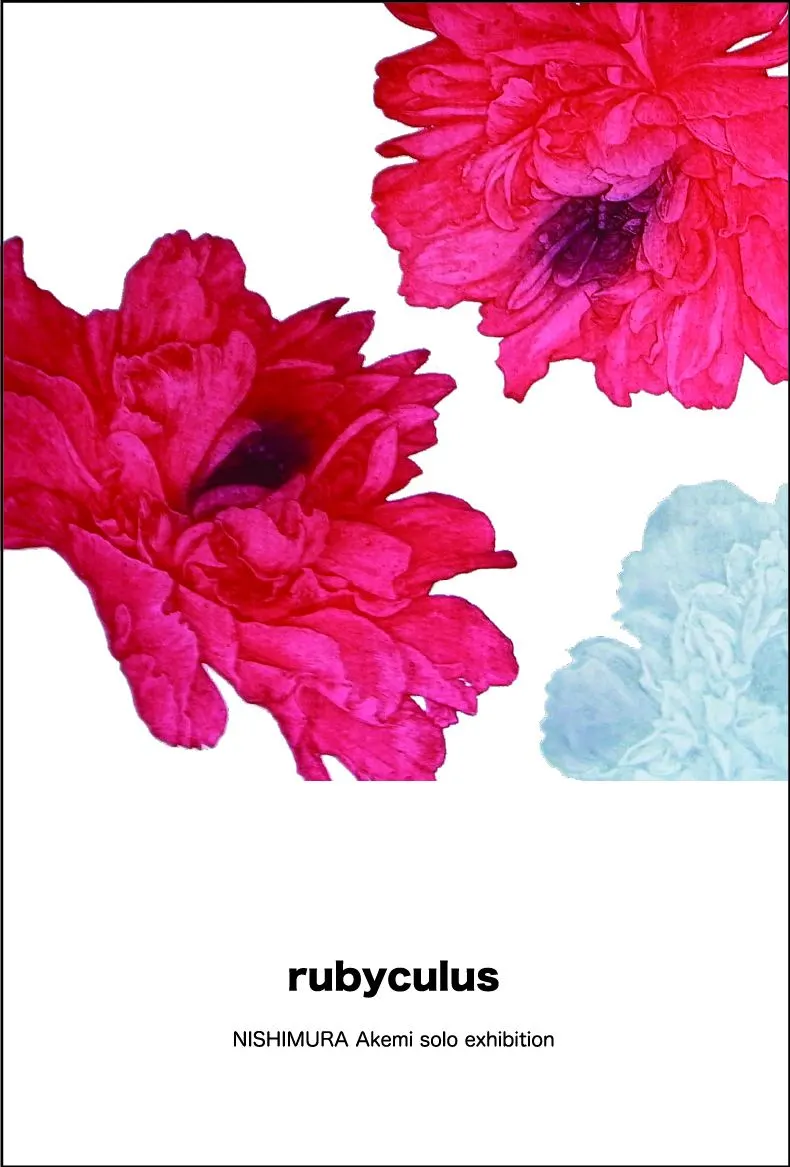 rubyculus NISHIMURA akemi solo exhibition(삿포로시)| Domingo -도밍고
