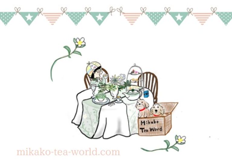 Mikako Tea World｜北海道の「今」をお届け Domingo -ドミンゴ-