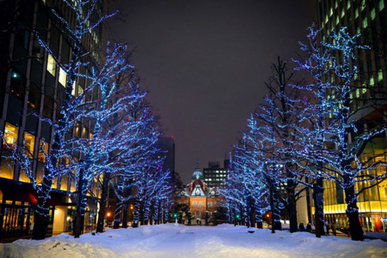 雪 まつり オンライン