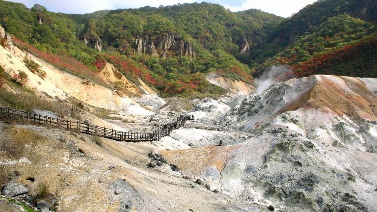 2021のぼりべつ桜ざか一期一宴|北海道の「今」をお届け Domingo -ドミンゴ-
