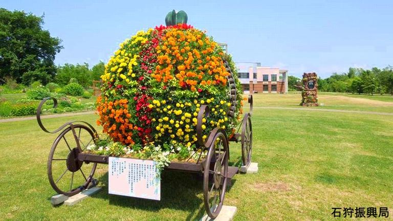 パンジー ビオラ 春の販売 北海道の 今 をお届け Domingo ドミンゴ