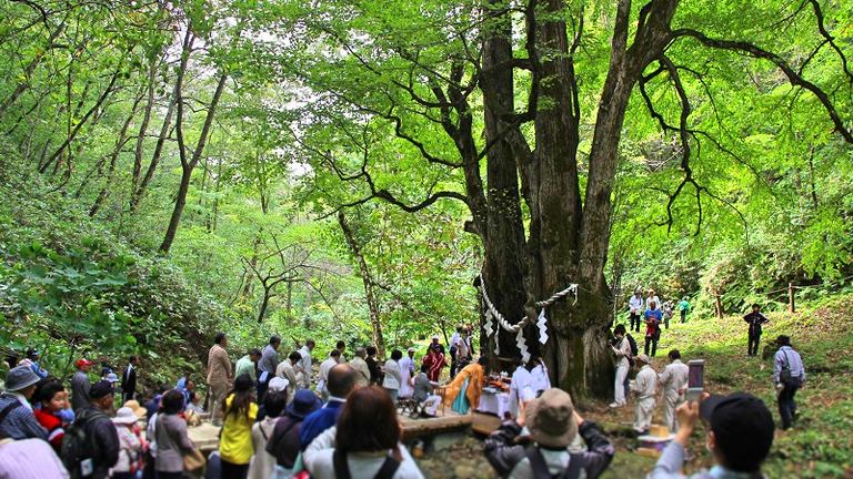 縁桂森林(もりもり)フェスティバル｜北海道の「今」をお届け Domingo -ドミンゴ-