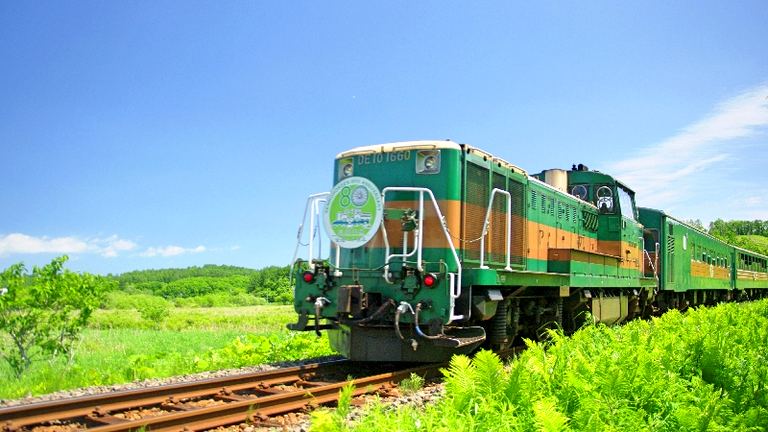 くしろ湿原ノロッコ号 運行|北海道の「今」をお届け Domingo -ドミンゴ-