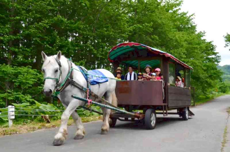 第42回 八千代牧場まつり|北海道の「今」をお届け Domingo -ドミンゴ-