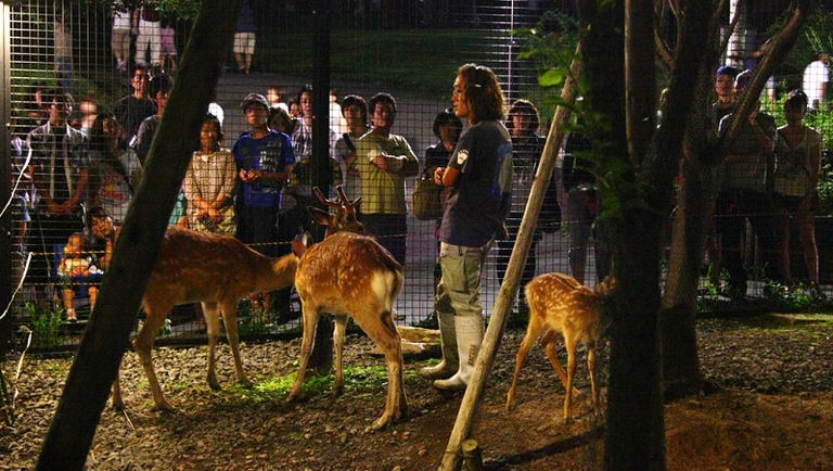 [旭山動物園] 夜の動物園｜北海道の「今」をお届け Domingo -ドミンゴ-