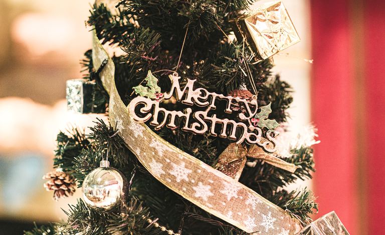 [林業館｢きてらす｣]世界にひとつだけのクリスマスツリー｜北海道の「今」をお届け Domingo -ドミンゴ-