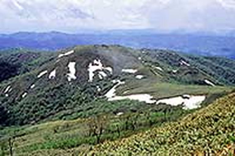 昆布岳 北海道の 今 をお届け Domingo ドミンゴ