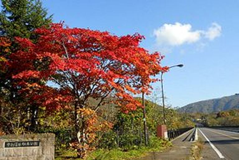 新登別大橋 北海道の 今 をお届け Domingo ドミンゴ