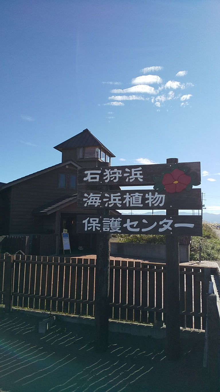 石狩浜海浜植物保護センター 北海道の 今 をお届け Domingo ドミンゴ