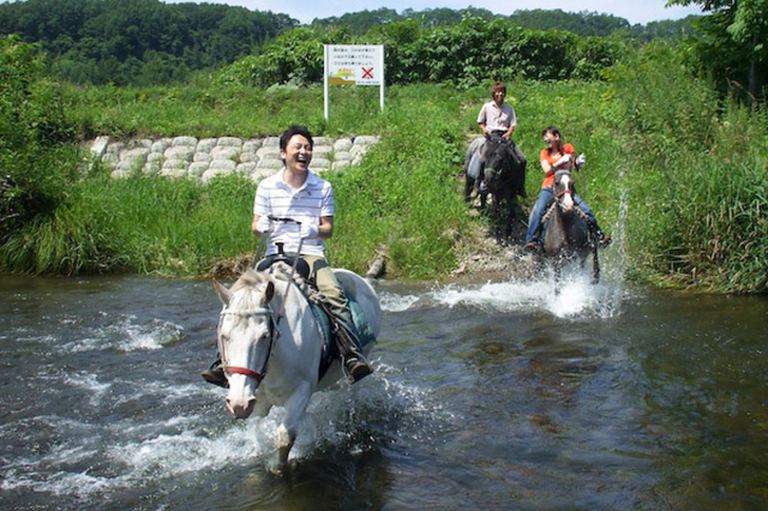 マイステイブル鹿追 北海道の 今 をお届け Domingo ドミンゴ