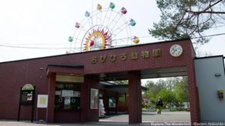 [おびひろ動物園]よるの動物園｜北海道の「今」をお届け Domingo -ドミンゴ-