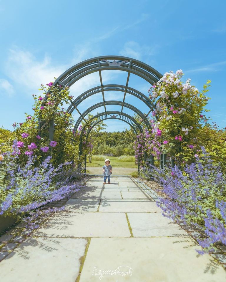 【北海道ミライノート×Domingo】恵庭市の庭園と子ども など