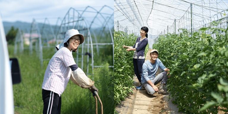 仕事が生活の延長線上に。栗山町、壮瞥町で農業を仕事にする【北の大地のジョブサロン(2)】|Domingo