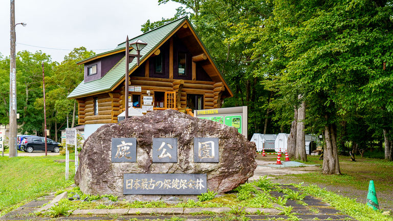 森林浴でリフレッシュ!エゾシカとの触れ合いが大人気の「安平町鹿公園」|Domingo
