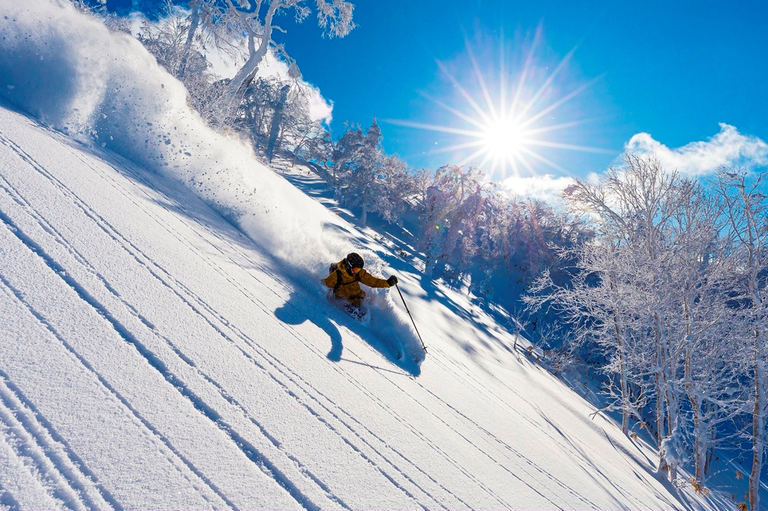 【ニセコ近郊】おすすめスキー場9選・北海道のパウダースノーを味わう！｜Domingo