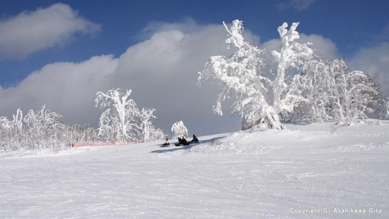 【旭川近郊・道北エリア】おすすめスキー場21選・様々な雪質とコースを満喫！｜Domingo