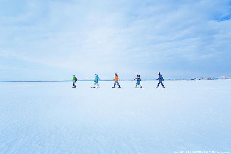マイナス20℃の世界を走る！南極や北極で実施されてきた「アイスマラソン」が日本初開催｜Domingo