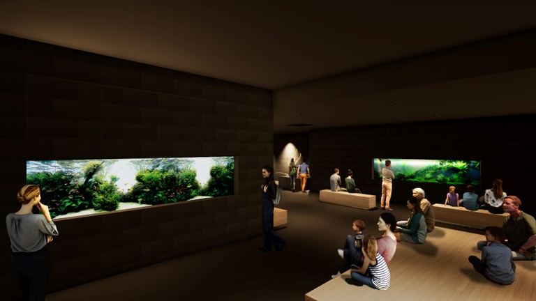 札幌に誕生する都市型水族館「AOAO SAPPORO」の気になる主な展示とは｜Domingo