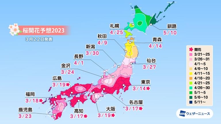 北海道の桜開花・満開予想 2023【随時更新】｜Domingo