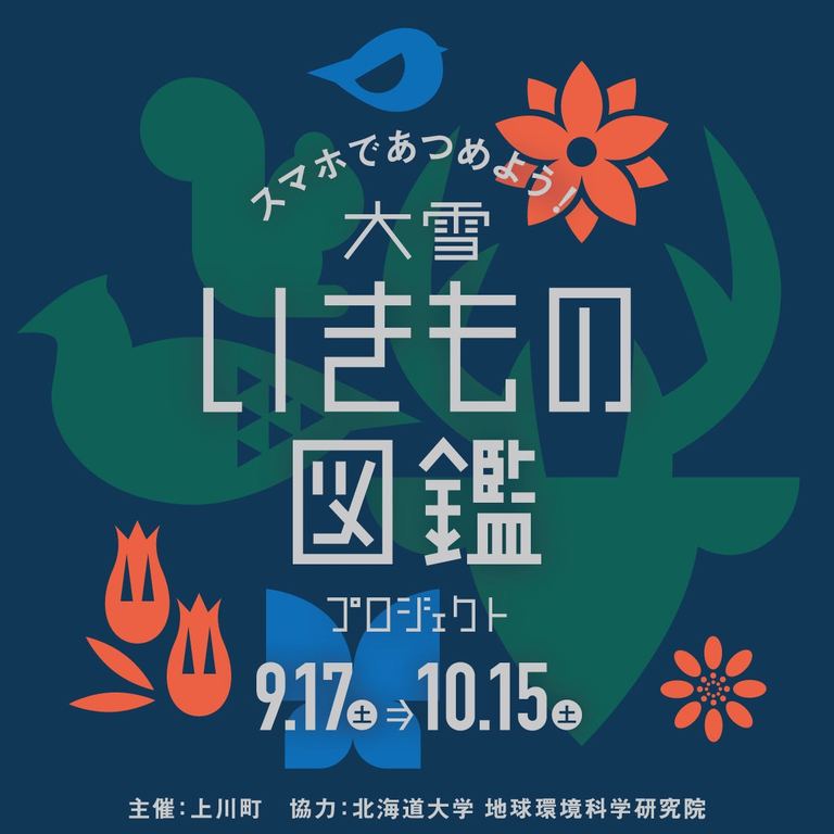 大雪いきもの図鑑プロジェクト|北海道の「今」をお届け Domingo -ドミンゴ-