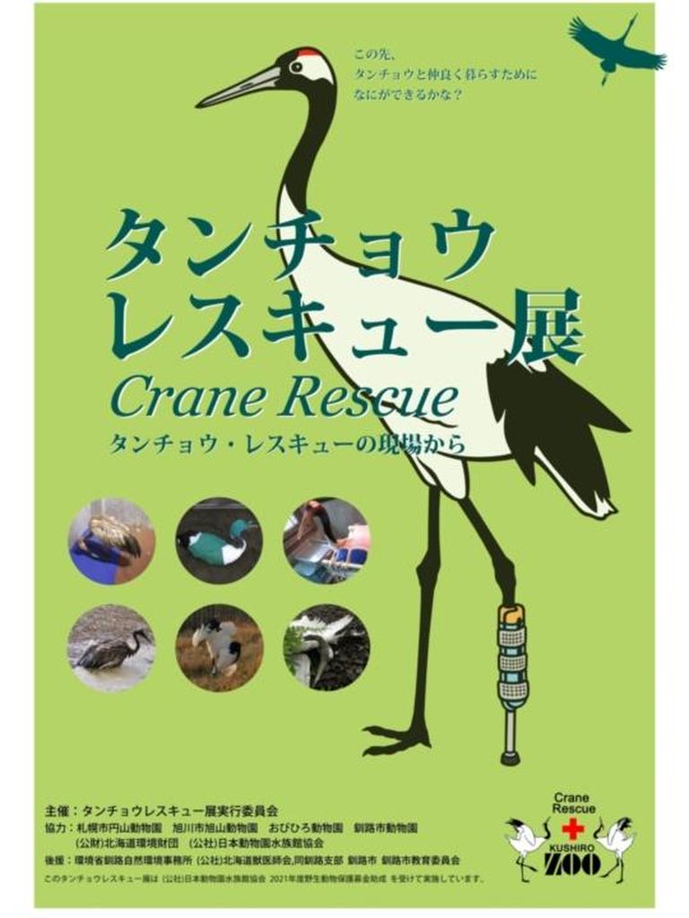タンチョウレスキューの現場から|北海道の「今」をお届け Domingo -ドミンゴ-
