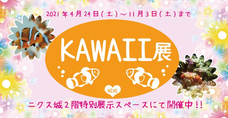 登別マリンパークニクス 特別展示「KAWAII展」|北海道の「今」をお届け Domingo -ドミンゴ-