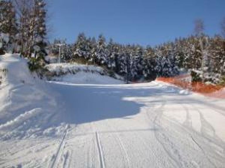八雲町営スキー場|北海道の「今」をお届け Domingo -ドミンゴ-