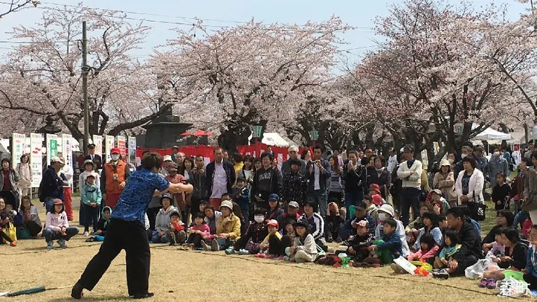 2022 第73回もりまち桜まつり(森町)| Domingo -ドミンゴ-