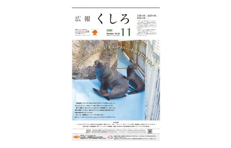登山のための地図読み講習会（釧路市）| Domingo -ドミンゴ-