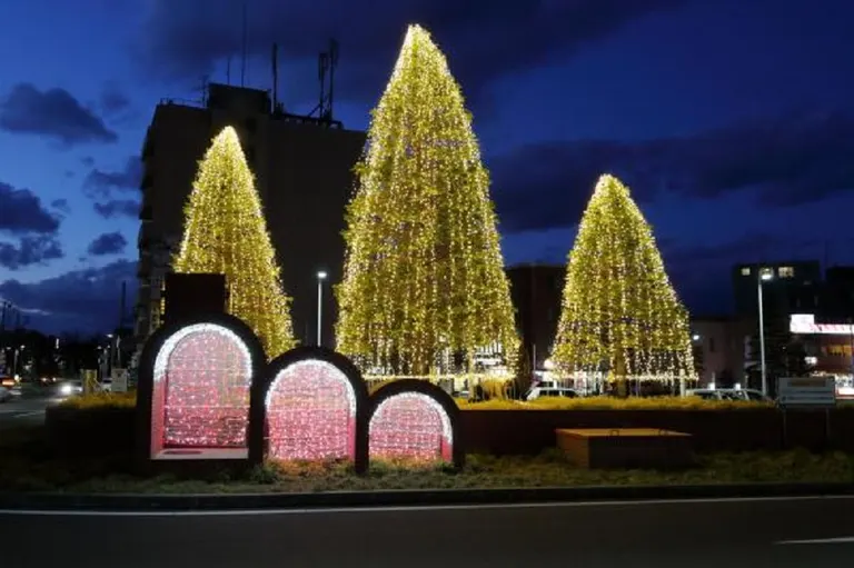 NOPPOROイルミネーションプロジェクト｜北海道の「今」をお届け Domingo -ドミンゴ-