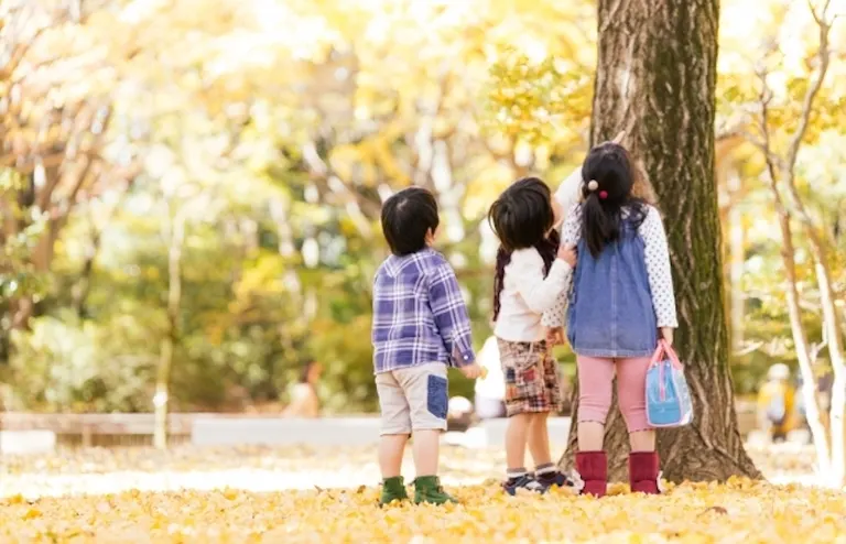 [道民の森]山菜の日（当別町）| Domingo -ドミンゴ-