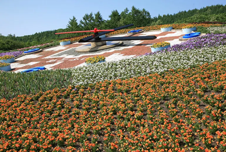 ｢花風景｣ハナックと花ロード｜北海道の「今」をお届け Domingo -ドミンゴ-