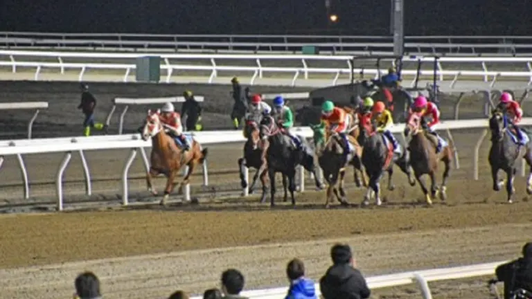 2024ホッカイドウ競馬｜北海道の「今」をお届け Domingo -ドミンゴ-
