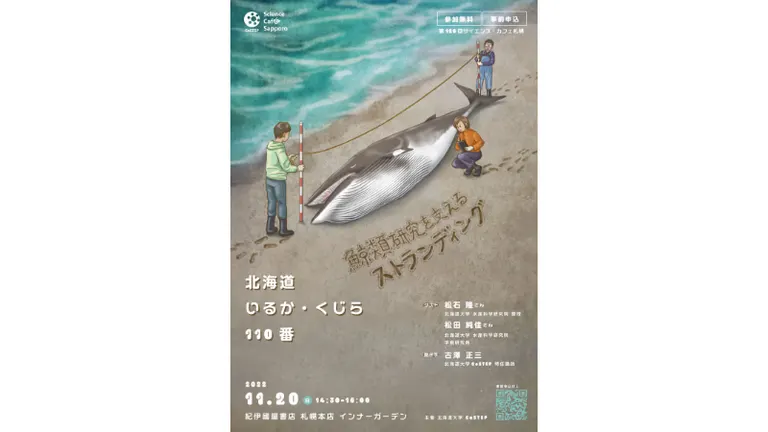 第126回サイエンス・カフェ札幌｢北海道いるか・くじら110番～鯨類研究を支えるストランディング～｣（札幌市）| Domingo -ドミンゴ-