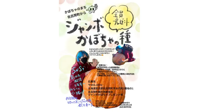 ジャンボかぼちゃを作ってみませんか？かぼちゃの種をプレゼント！｜北海道の「今」をお届け Domingo -ドミンゴ-