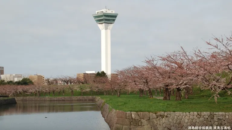 五稜郭タワー 全日本タワー協議会「展望の日」ライトアップ(函館市)| Domingo -ドミンゴ-
