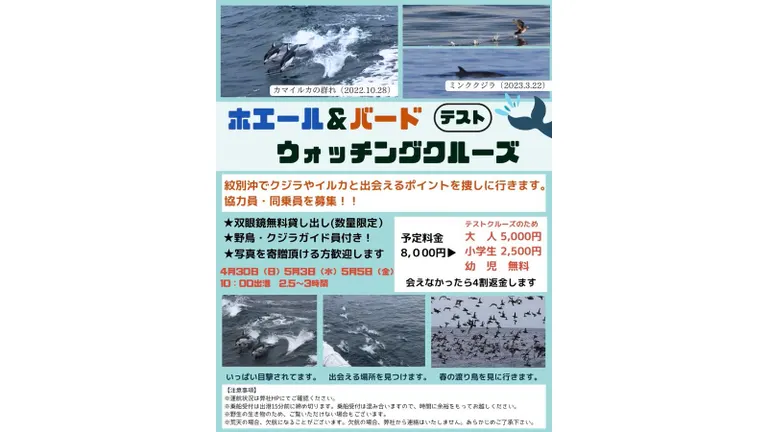 ホエール&バードウォッチング テストクルーズ(紋別市)| Domingo -ドミンゴ-