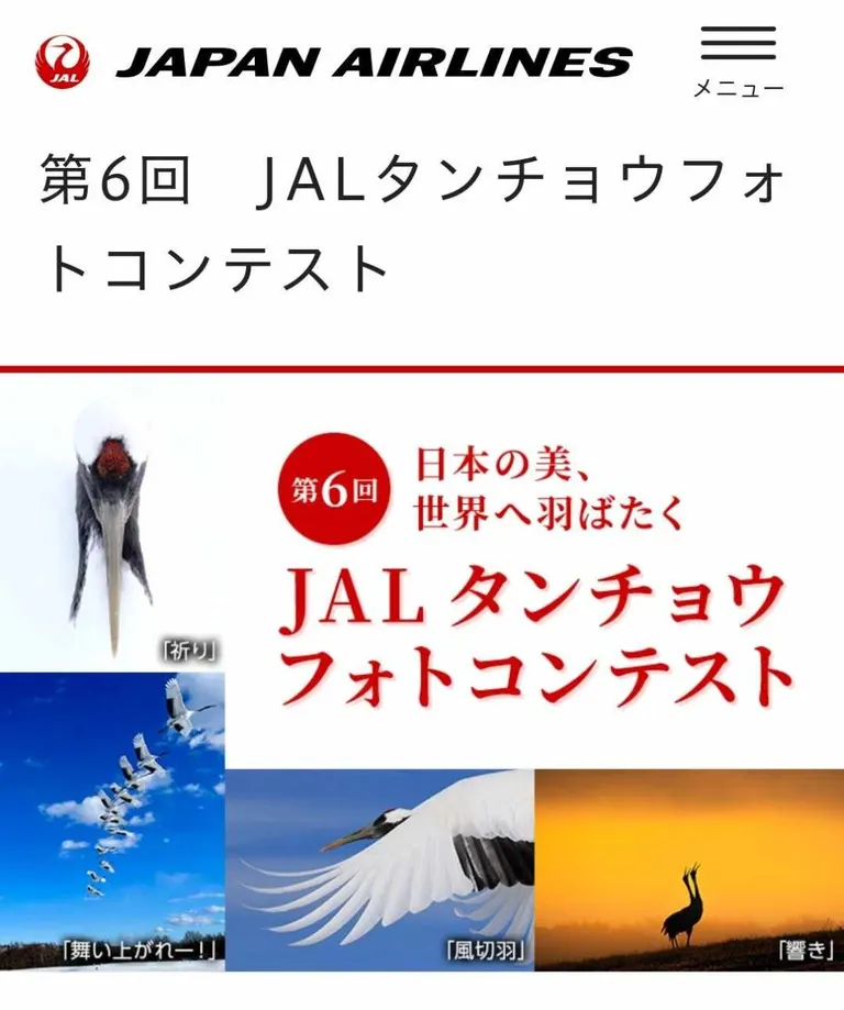 第6回 JALタンチョウフォトコンテスト｜北海道の「今」をお届け Domingo -ドミンゴ-