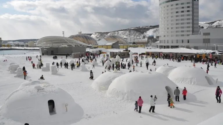 2024わっかない氷雪の広場｜北海道の「今」をお届け Domingo -ドミンゴ-