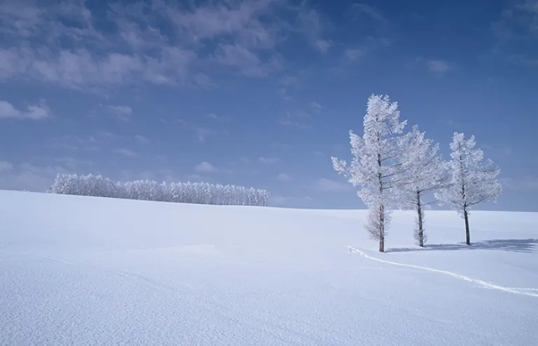 秋の萩の里自然公園 雪の里山をカンジキで歩いてみよう!(白老町)| Domingo -ドミンゴ-