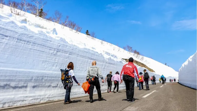 知床羅臼雪壁ウォーク｜北海道の「今」をお届け Domingo -ドミンゴ-
