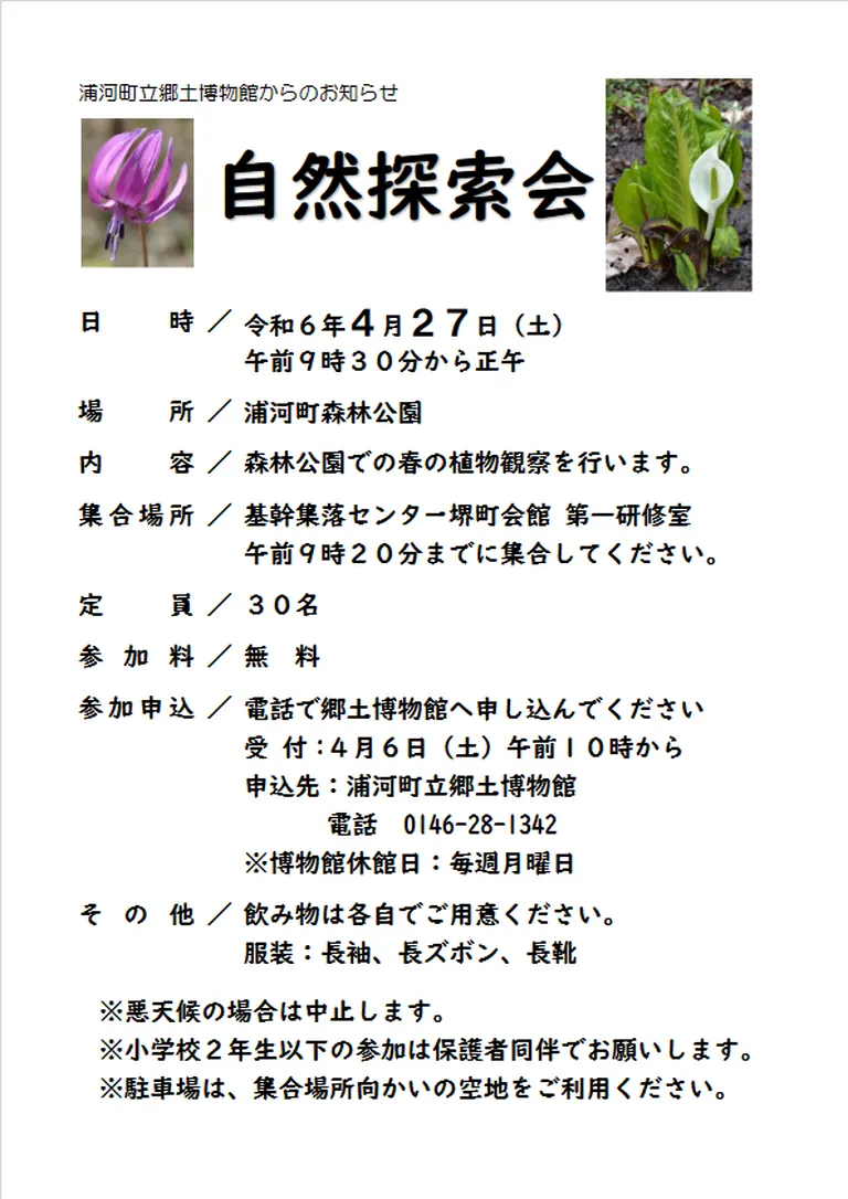 【浦河】自然探索会「春の植物観察会」｜北海道の「今」をお届け Domingo -ドミンゴ-