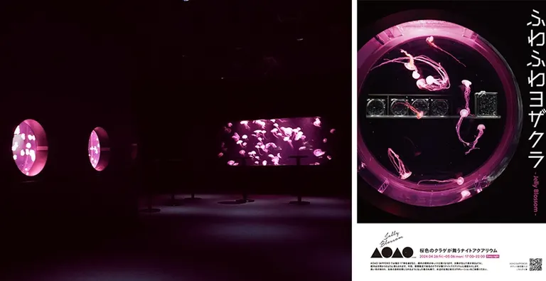 AOAO SAPPORO 企画展｢ふわふわヨザクラ 〜Jelly Blossom〜｣｜北海道の「今」をお届け Domingo -ドミンゴ-