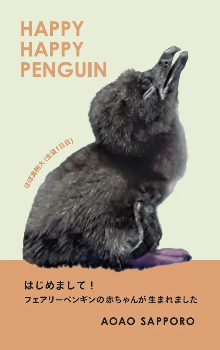 AOAO SAPPORO｢ハッピーハッピーペンギン｣ 第一弾 オリジナルカード配布｜北海道の「今」をお届け Domingo -ドミンゴ-
