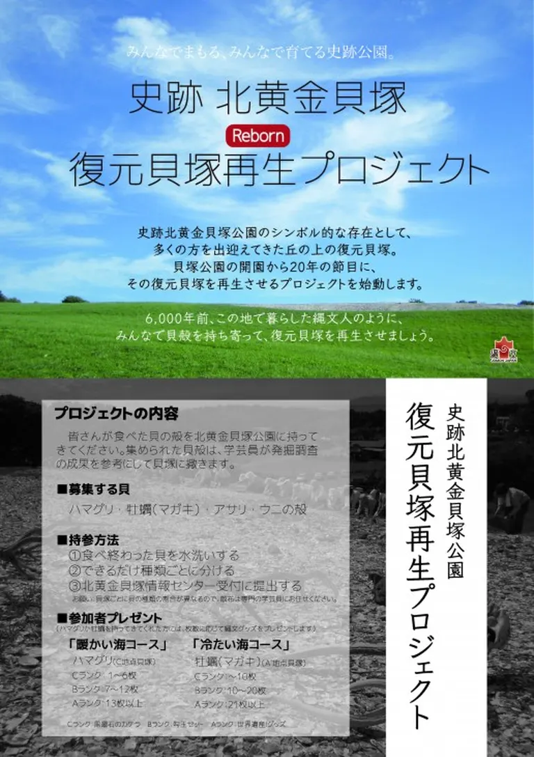 史跡北黄金貝塚 復元貝塚再生プロジェクト｜北海道の「今」をお届け Domingo -ドミンゴ-